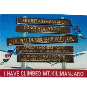 I have climbed Kilimanjaro  Magnet