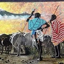 Masai grazing (mike mbuji)